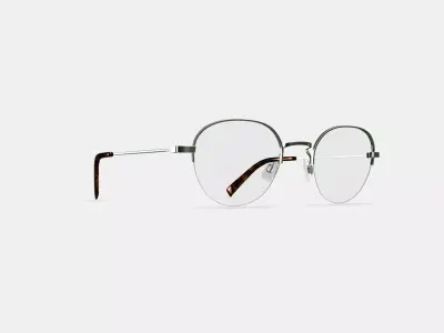 Canning Eyeglasses in Polished Silver 3D model