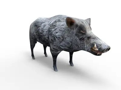 3D Wild Boar 3D Model Low-poly 3D model