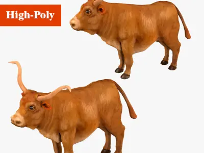 bull  rig  high-poly  textured 3D model