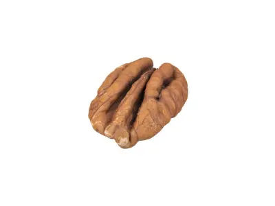 Photorealistic Pecan Nut 3D Scan 3D model