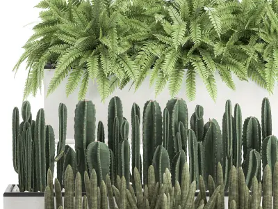 Decorative plants for the interior in a white flowerpot 581 3D model