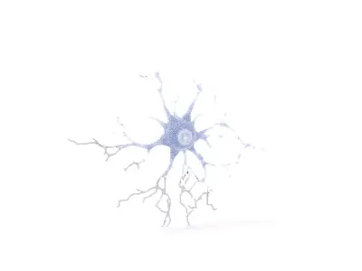 Intricate Neuron Structure model pack Low-poly 3D model
