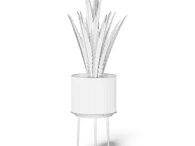 Aloe in White Pot 3D Model 3D model