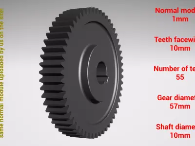 Cylindrical gear - paired - z55 m1 D57 d10 3D print model