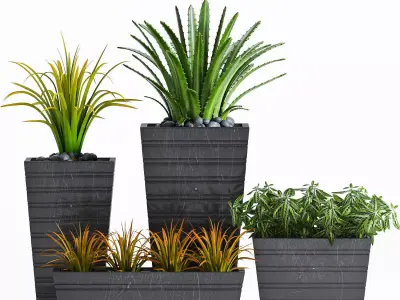 Decorative plant set-13 3D model