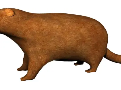Groundhog Textured 3D model