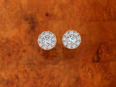 Diamond Jewelry Earring 3D print model order