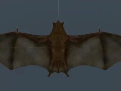 Bat Rigged and Animated Low-poly 3D model