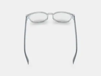 Carlton Eyeglasses in Crystal 3D model