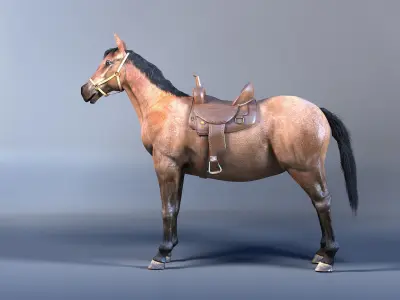 Horse with Saddle 3D Model with Mental Ray Materials 3D model