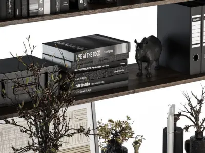 Black Decorative set on shelves 3D model