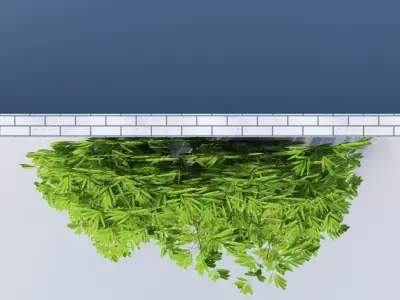 Dense Bamboo Against Wall  3D model