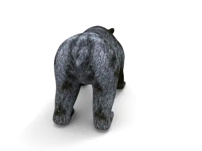 Black Bear Rigged 3D Models Low-poly 3D model