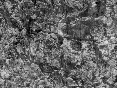 table dining and chairs 3D model