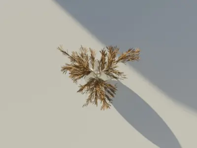 Reed in vase low-poly AR VR model Low-poly 3D model