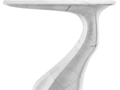 Modern Console Table Amorph Frolic 3D model