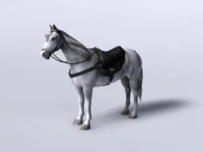 White horse with saddle and bags Low-poly 3D model