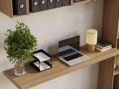 Workplace wooden Shelves Decorative With Plants and Book 19 Low-poly 3D model