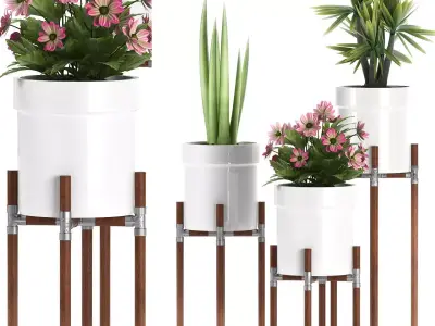 plants stand set 130 3D model