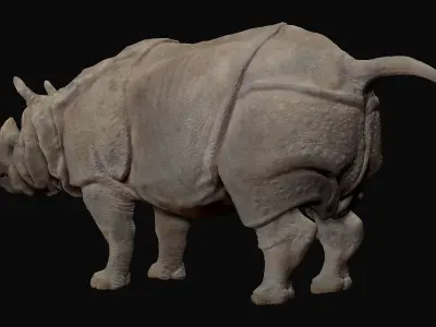 Indian Rhinoceros - Sculpt 3D model