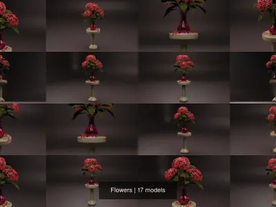 Flowers 3D Model Collection