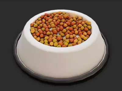 Dog Dish Low-poly 3D model