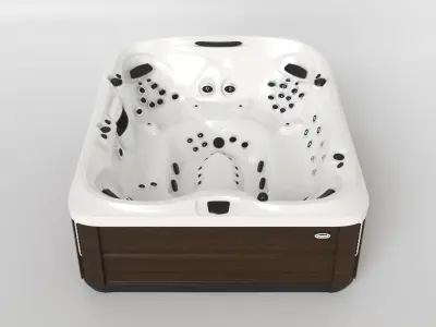 ENTERTAINER HOT TUB 3D model