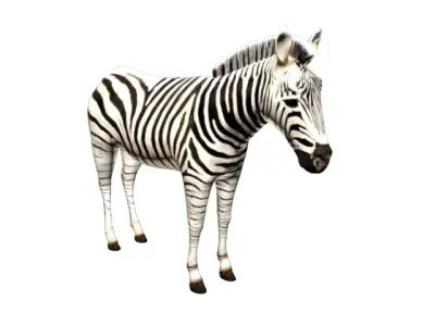 Zebra Low-poly 3D model