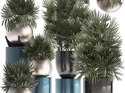 Rhapis excelsa palms 3D model