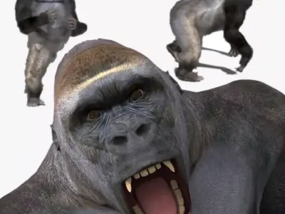 C Silverback Gorilla 8K- 3d animated 3D model