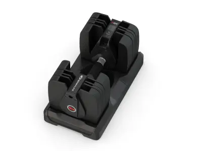 Bowflex SelectTech 560 Dumbbells 3D model