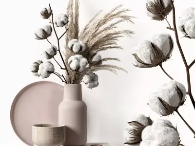  Cotton and reed 3D model