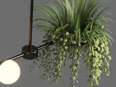 pendant light plant Indoor  outdoor plants hanging pot 3D model