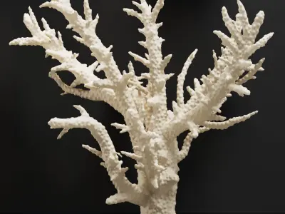 Decor Set 43 3D model