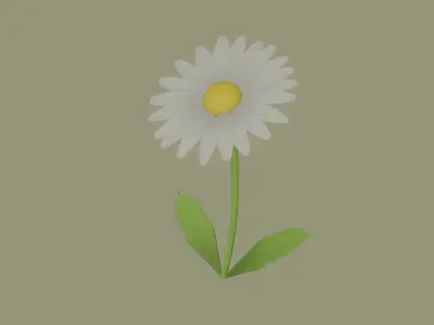 Daisy Flower 3D model