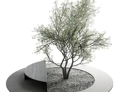 Urban Environment Urban Furniture Green Benches Low-poly 3D model