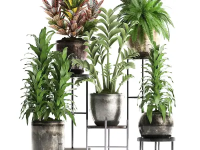 Collection Exotic plants 362 3D model