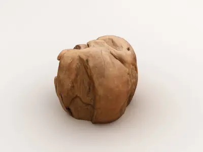 Driftwood walnut 3D model