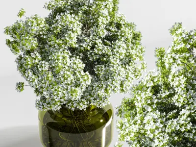 plants bouquet vase 21 3D model