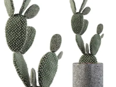 Plants collection 056 3D model