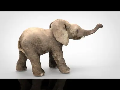 ELEPHANT baby Low-poly 3D model