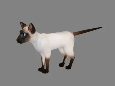 Cartoon siamese cat Low-poly 3D model