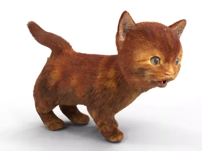 Red Cute hair  fur Cat Animated Low-poly 3D model