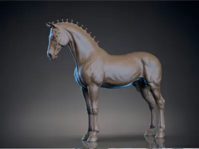 Horse Andalusian  - TPose 3D model