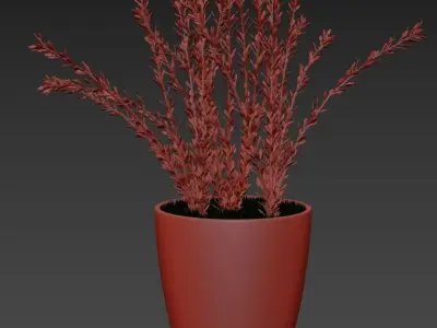 Decorative lavender 3D model