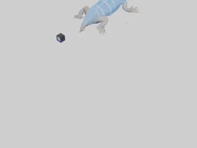 Bluetongue Skink resting model 3D model