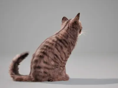 Cat Grey Tabby Animated UNREAL project  Maya base rig 3D model