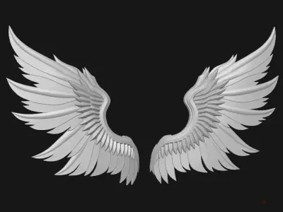 Wings 3D print model