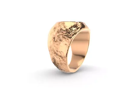 Rock Textured Ring Model 3D print model