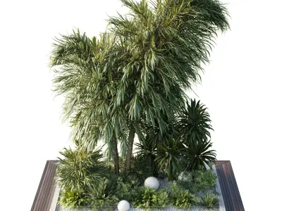 A Garden of Plants shrubs and palms outdoor garden  Low-poly 3D model